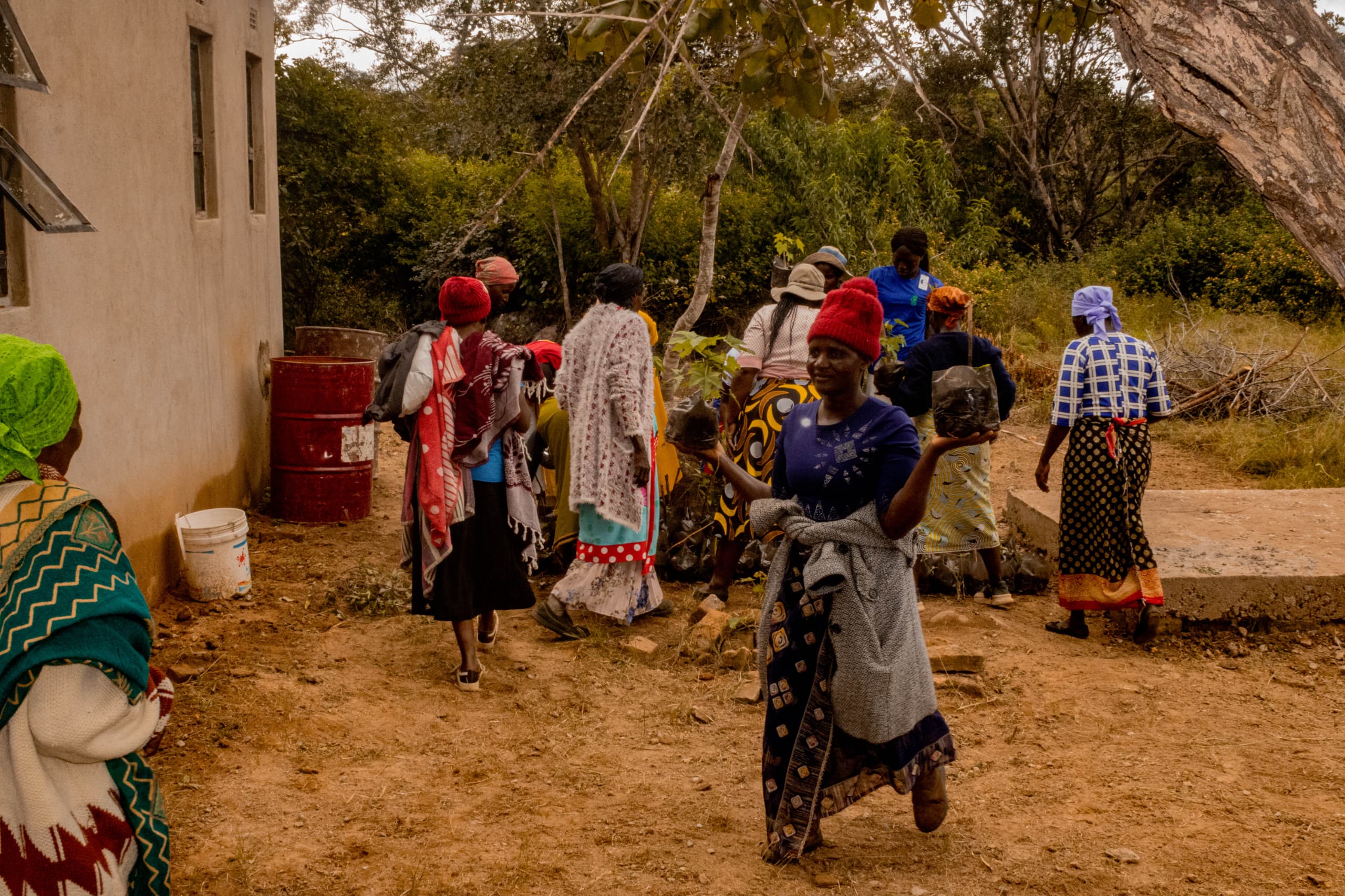 ZimWomen in Action